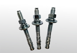 Zinc Plated Wedge Expansion Anchor